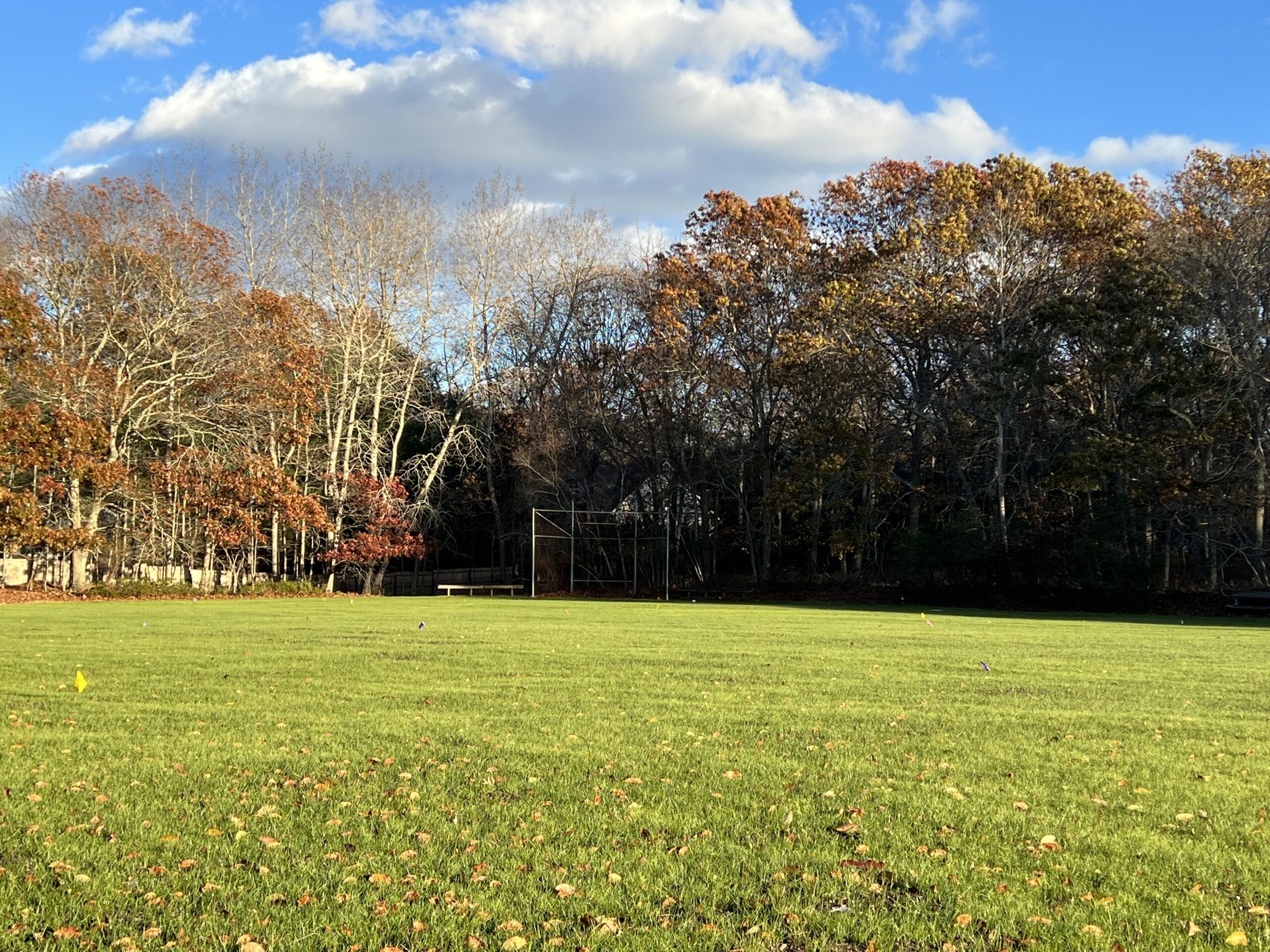 The organic grass field at the Bridgehampton Child Care and Recreation Center was a collaborative effort between several different landscapers and stakeholders in the community, committed to environmentally friendly and sustainable practices.