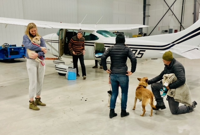 On the ground in New Mexico, prepping for the second flight on November 22. COURTESY ANIMAL RESCUE FUND OF THE HAMPTONS
