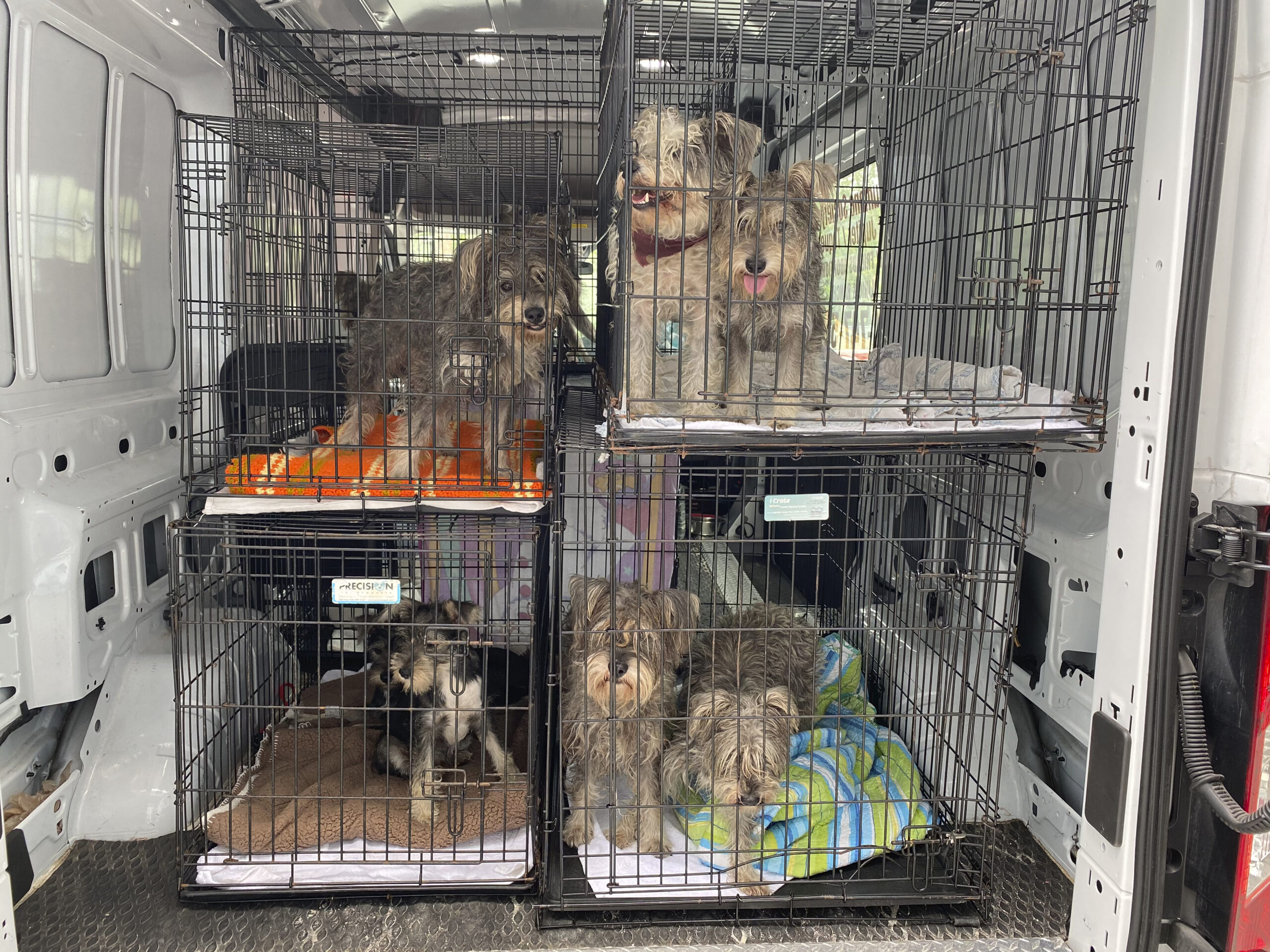 Animals that come from puppy mills are often malnourished, and have other health and socialization issues.