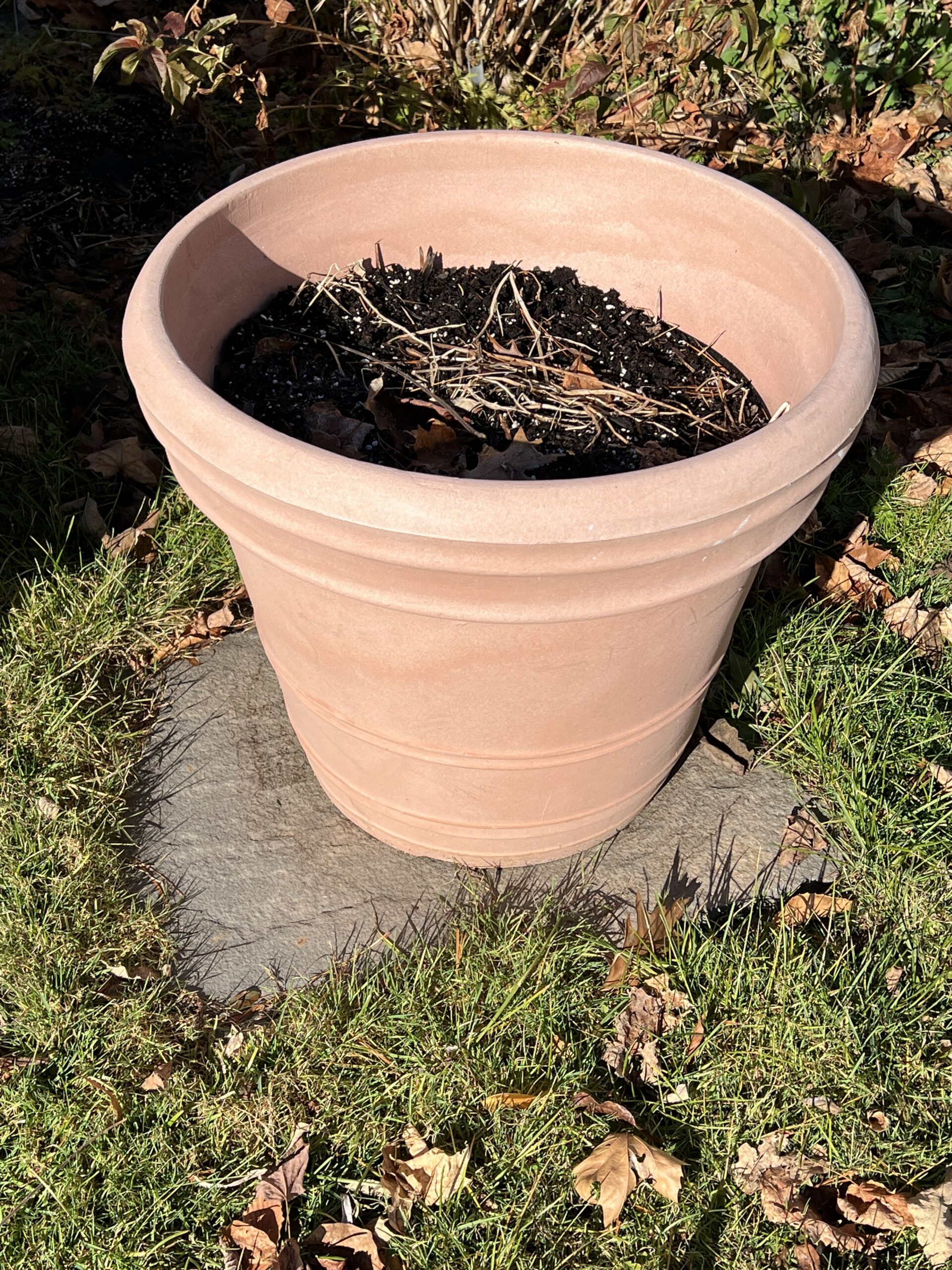 Terra cotta (any clay or cement) pots need to be emptied and stored properly to avoid winter cracking, splitting and chipping. This faux terra cotta pot made from an extruded foam product is winter hardy and can withstand freezing but should still be emptied before winter.
ANDREW MESSINGER