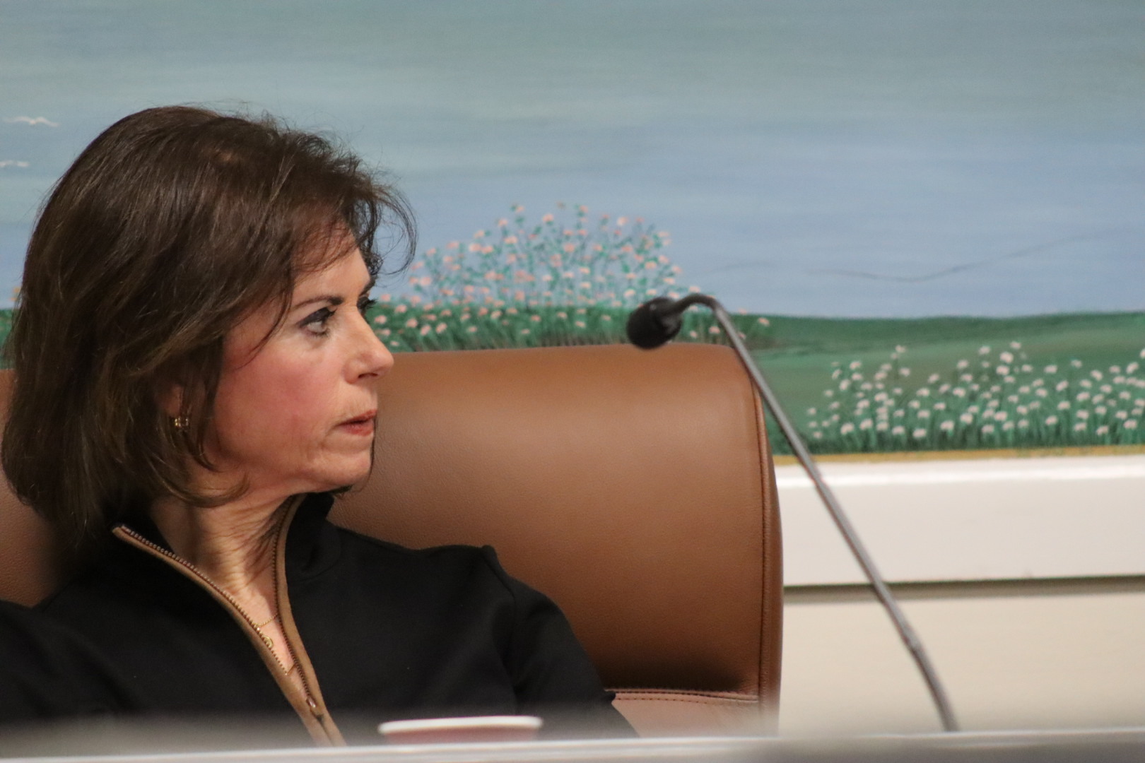 Deputy Mayor Gina Arresta