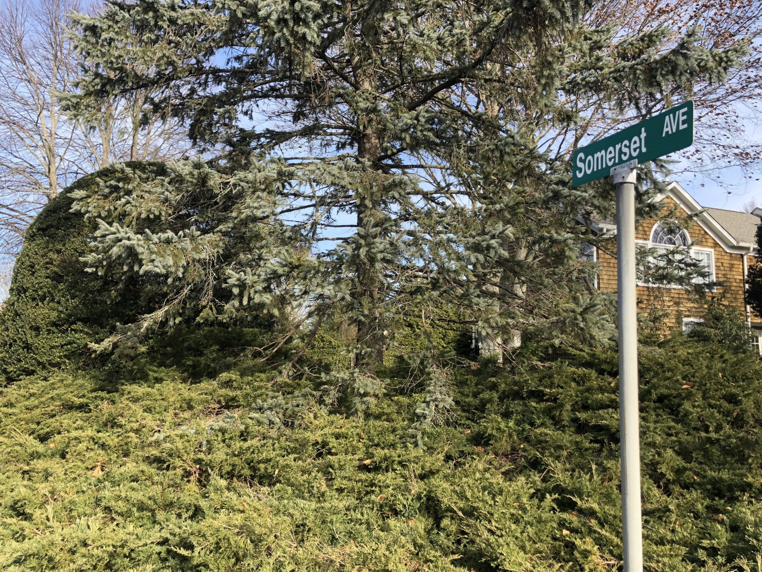 Somerset Barriers Are Source of Tension in Southampton Village 27 East