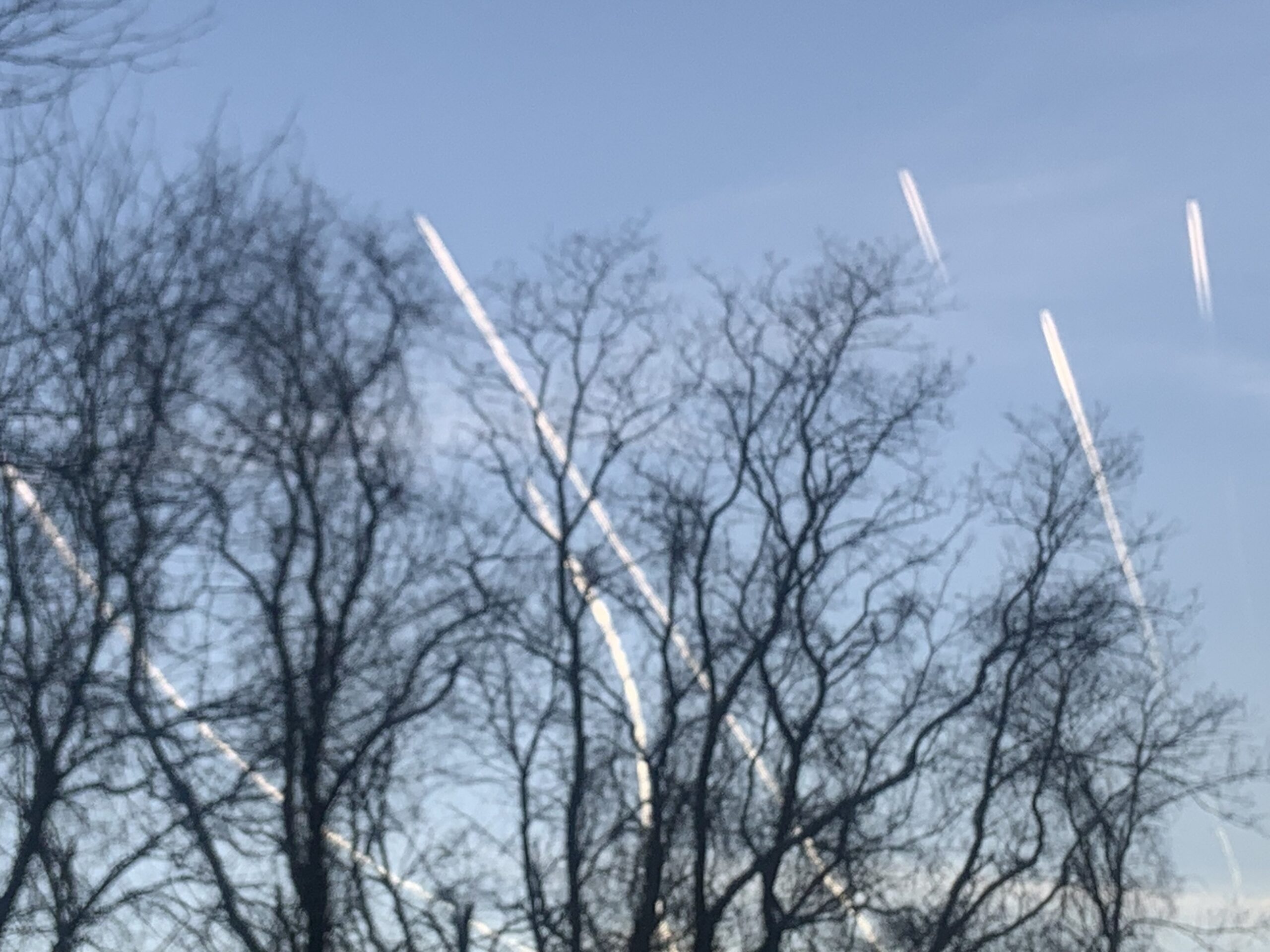 A squadron of jets flew overhead on the afternoon of January 24, the view form Scuttle Hole Road, Bridgehampton. STEPHEN J. KOTZ