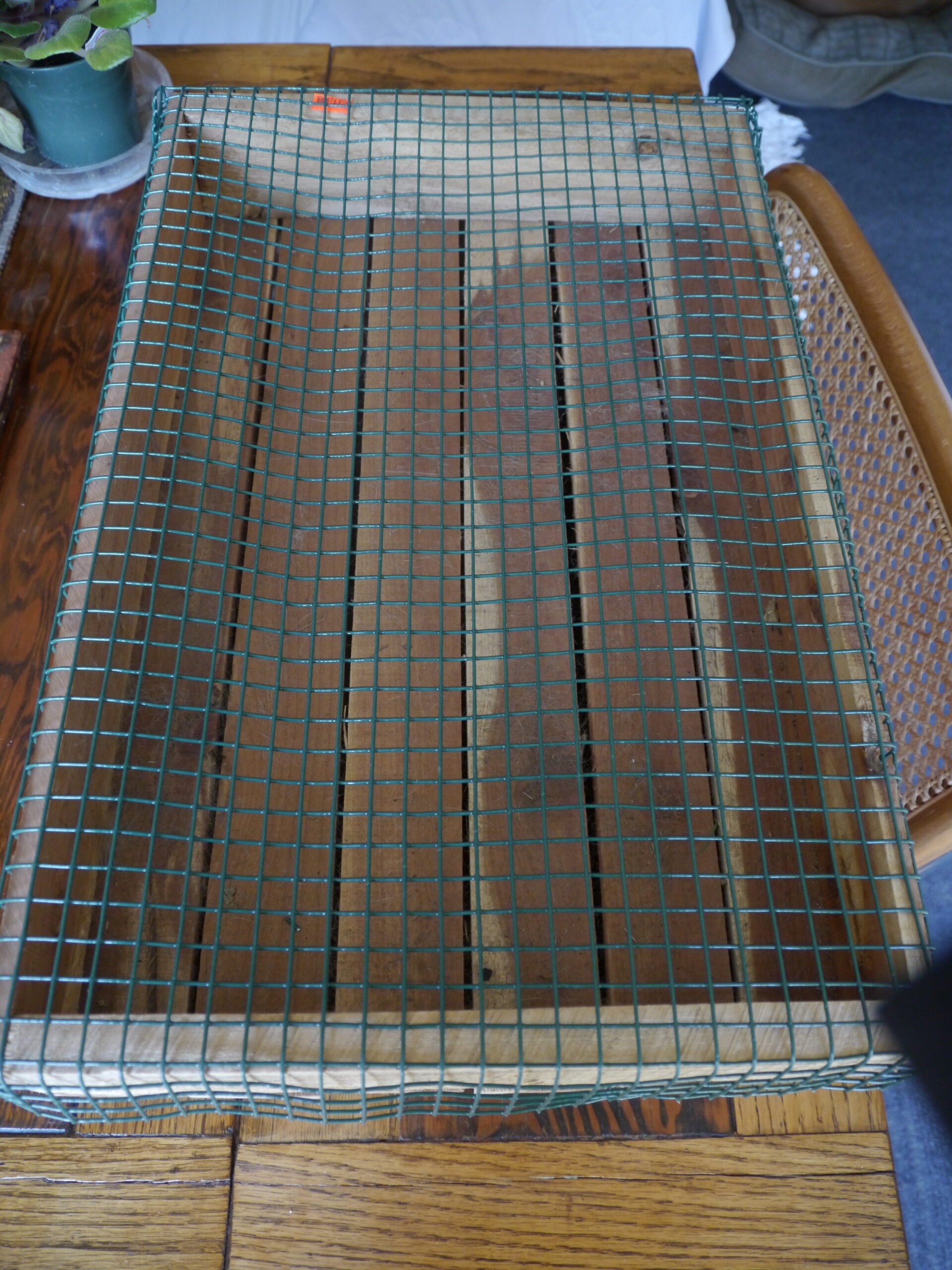 A wooden seeding flat purchased at a garden center. Notice the gaps between the bottom slats that allow for drainage. The plastic-coated mesh on the top was cut from a larger roll with the sides and corners bent to make a tight fit. This mesh is used when the flats are outdoors and it keeps mice and other rodents from stealing seeds and seedlings. This flat is about 2.5 inches deep, 15 inches long and 11 inches wide. ANDREW MESSINGER