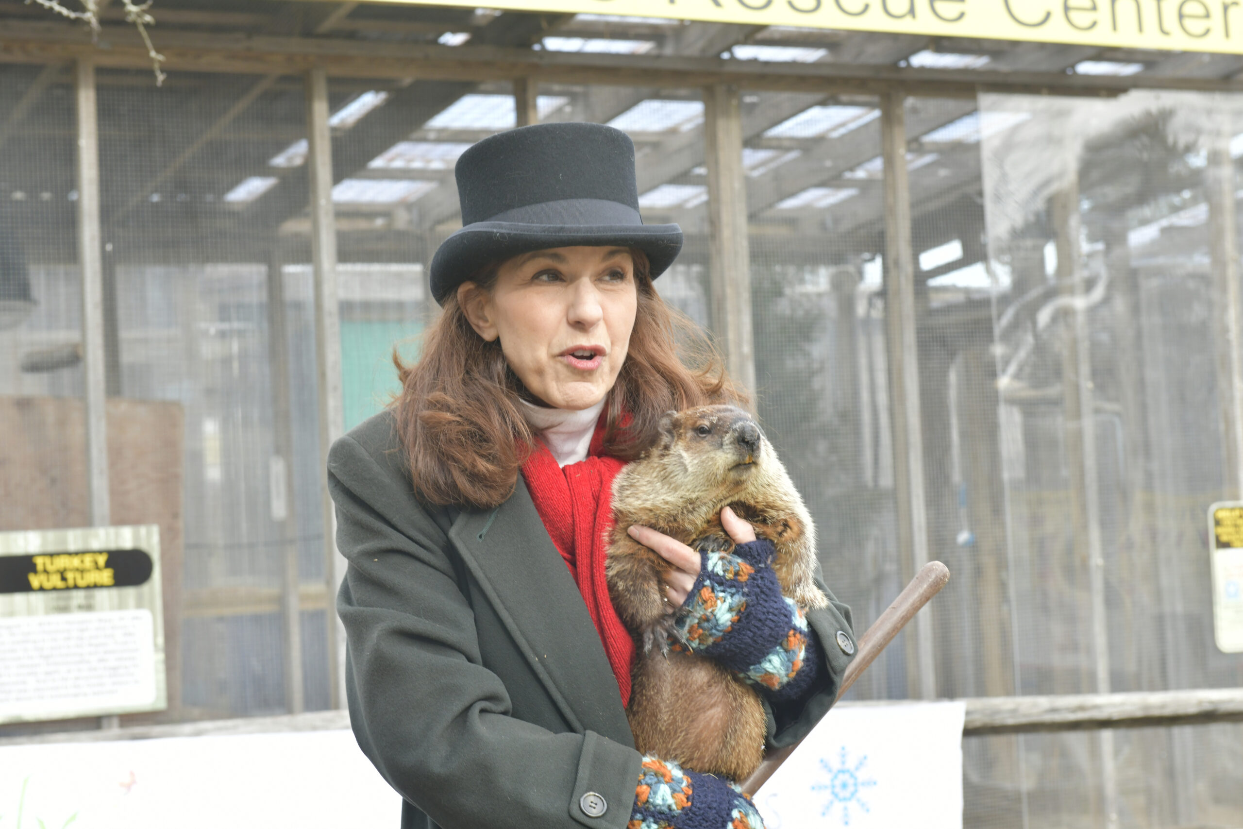 Allen McButterpants, along with handler Tammy Flanell, makes his debut as a prognosticator on Groundhog  Day at the Evelyn Alexander Wildlife Rescue Center. Allen did not see his shadow and predicted an early spring.  DANA SHAW