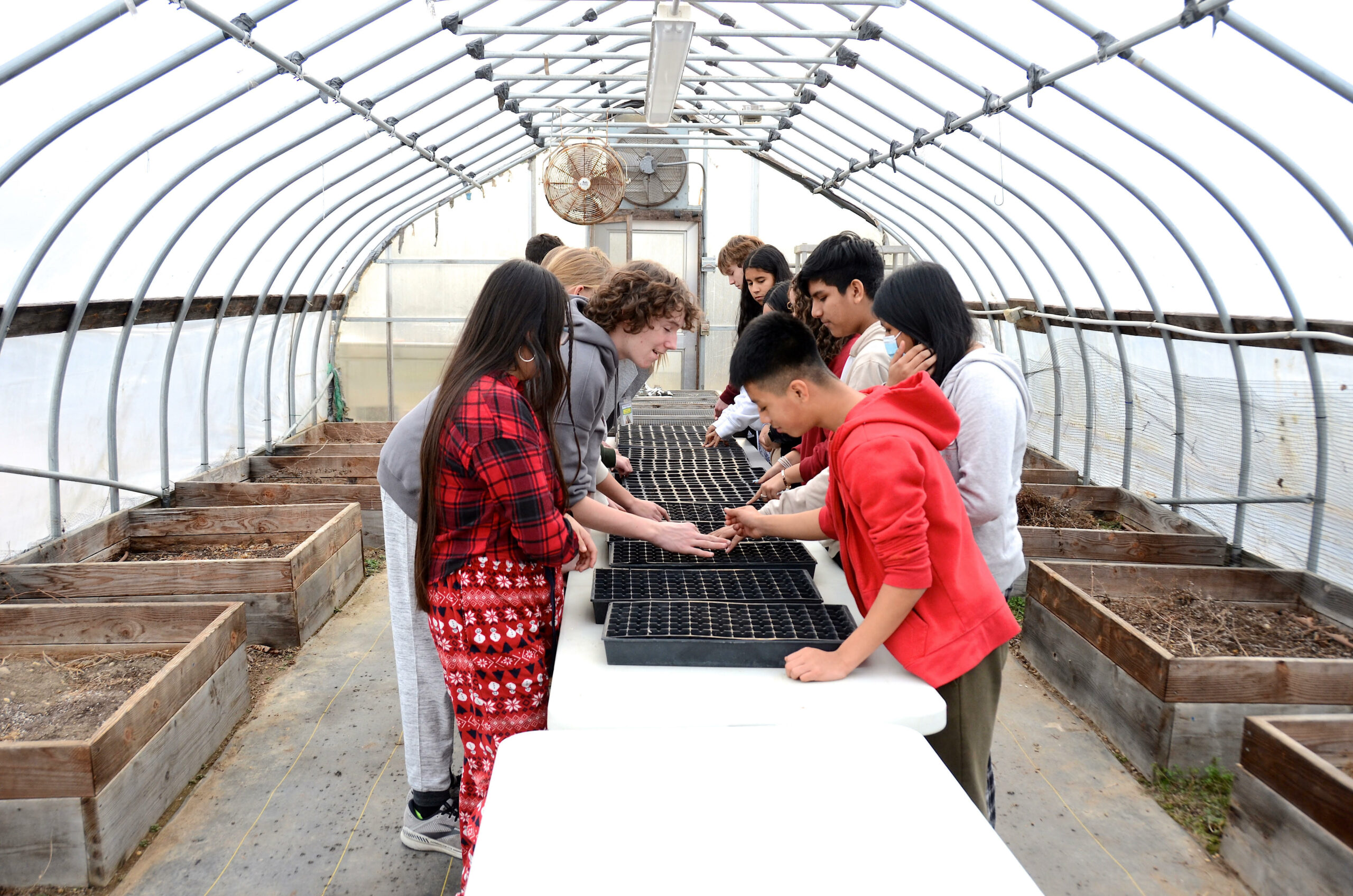 Springs School students in Diane Shoemaker's career and technical education Farm to Table course inside the district's greenhouse. KYRIL BROMLEY