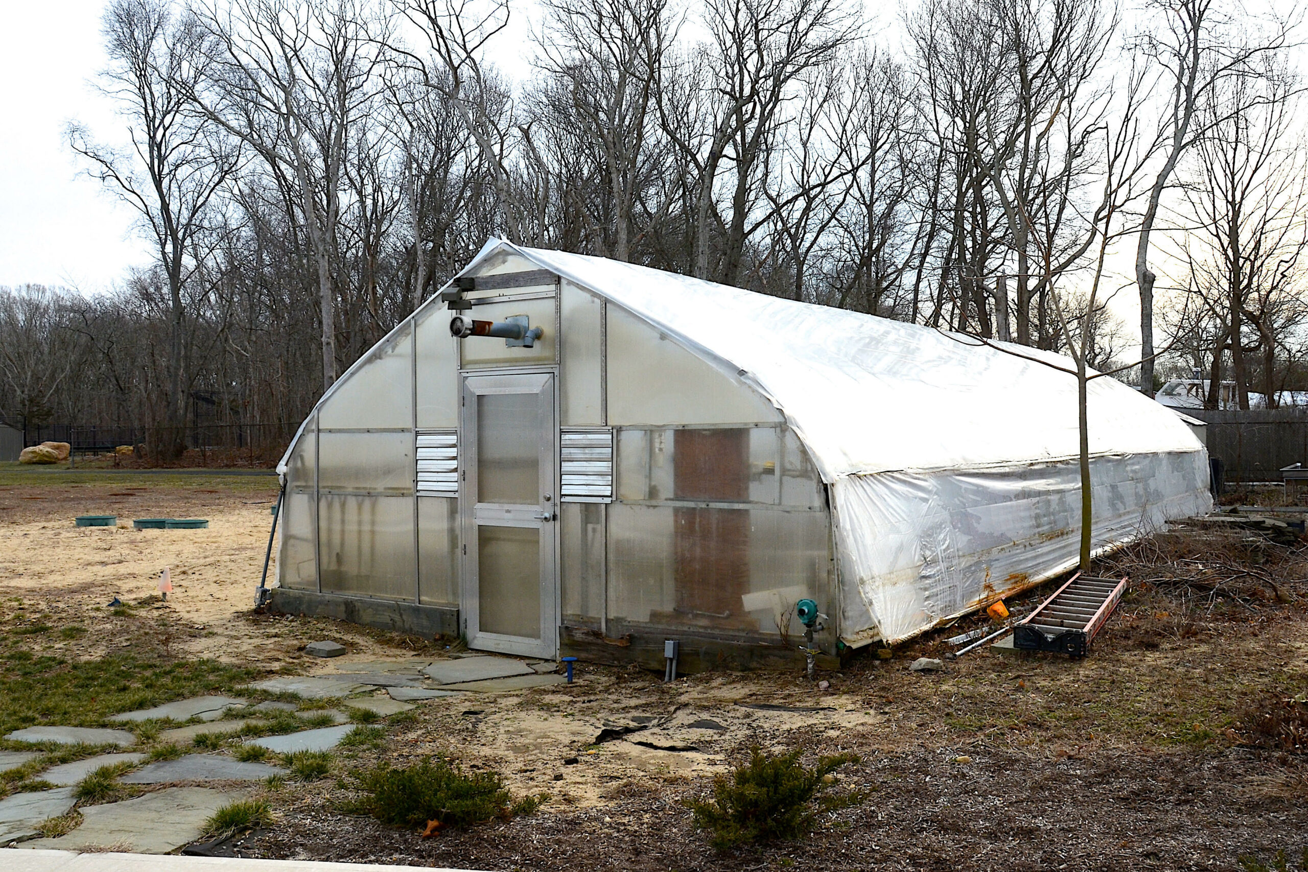 Springs School administration is looking for funding to help turn the district's greenhouse into a learning lab. KYRIL BROMLEY