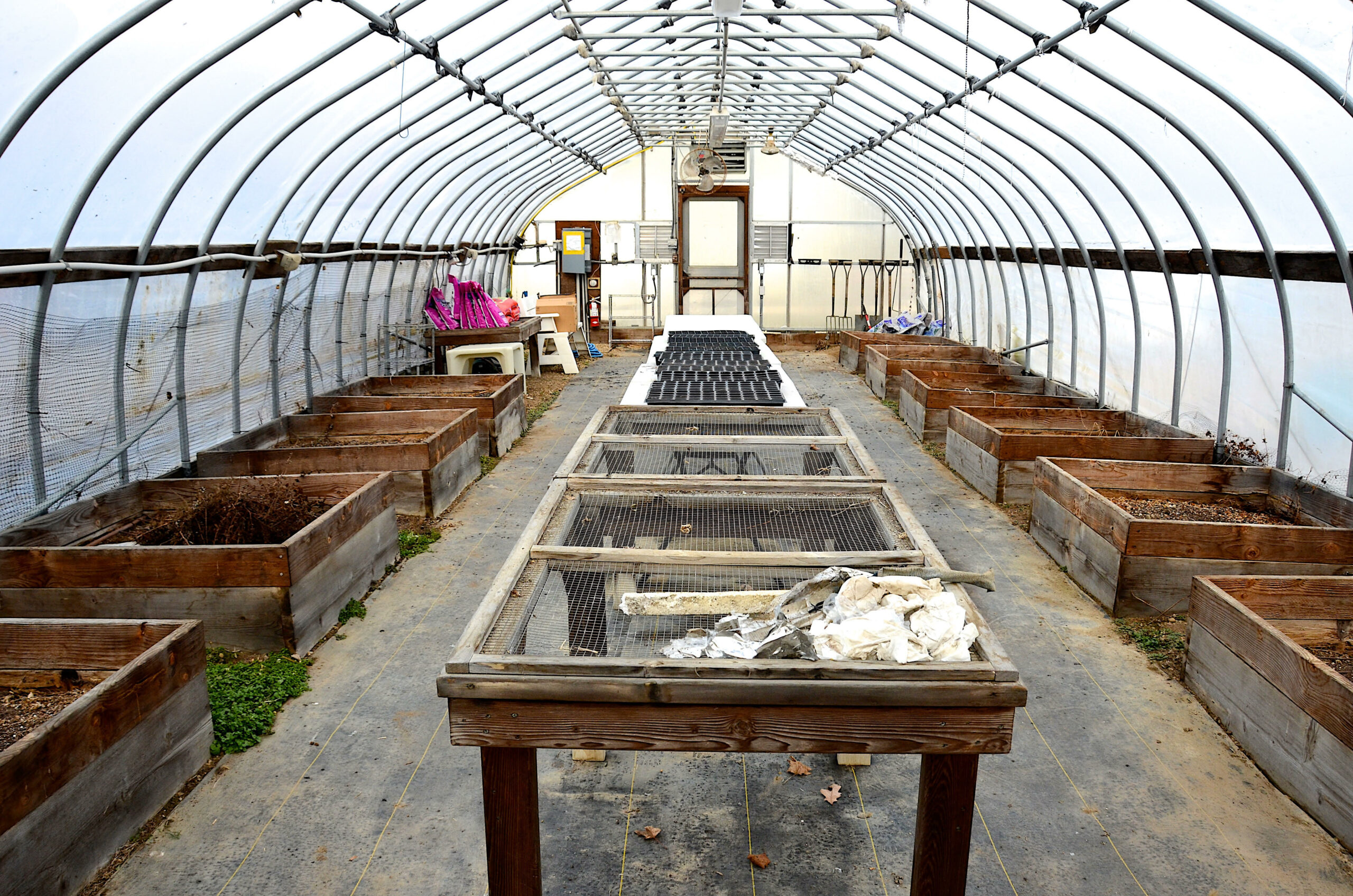 A look inside Springs School's greenhouse, which is in need of updates and repairs. KYRIL BROMLEY