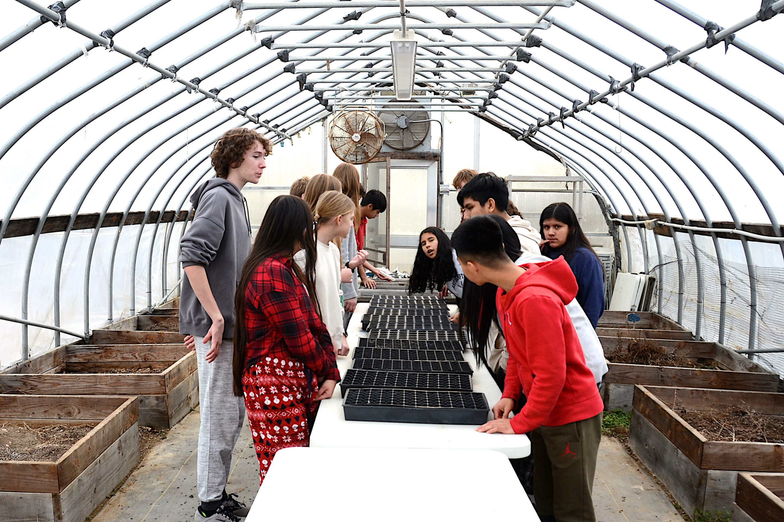 Students inside Springs School's greenhouse will be observing, researching, experimenting, predicting and reflecting as they grow a school garden. KYRIL BROMLEY