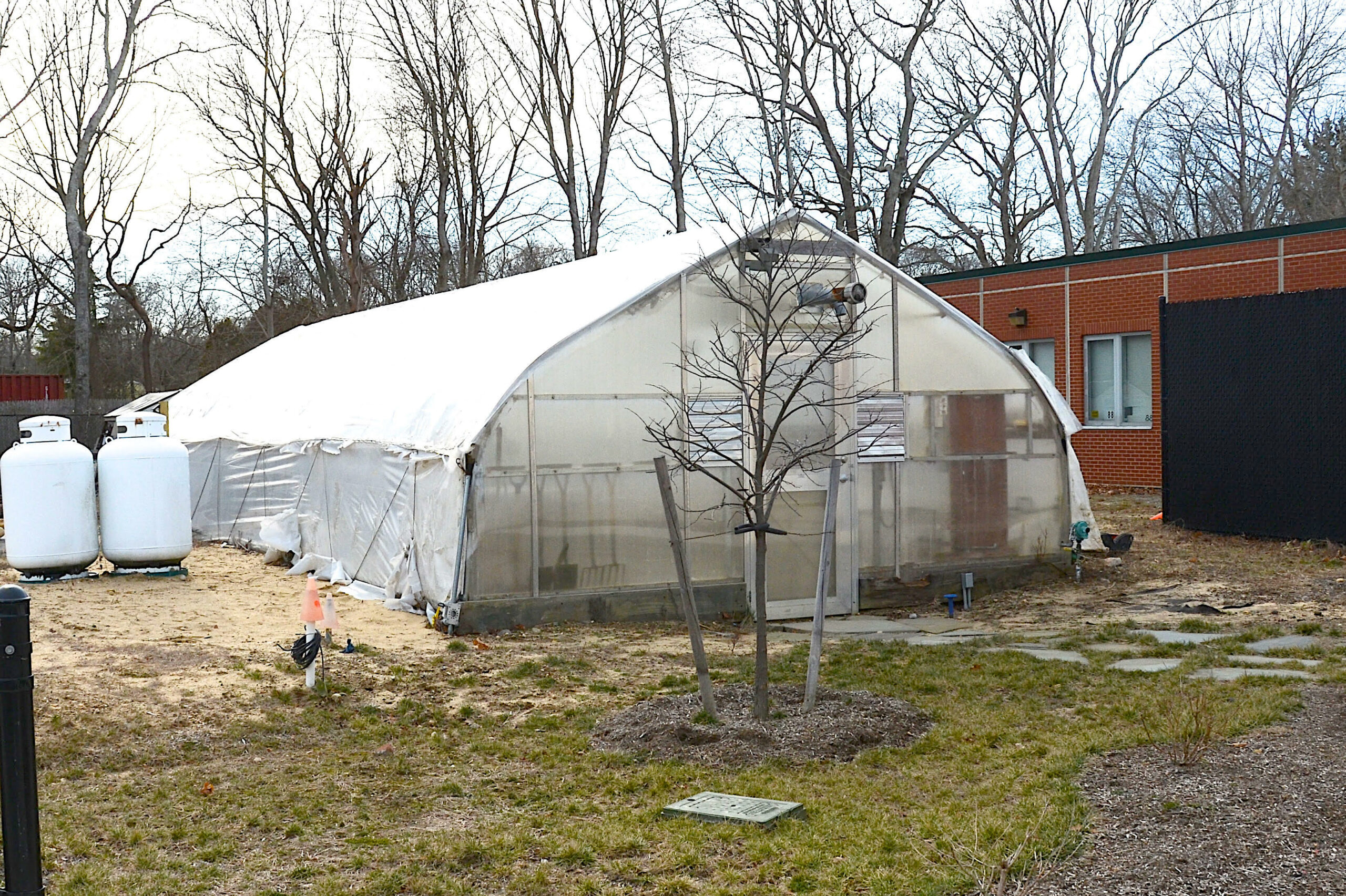 A greenhouse located alongside Springs School. KYRIL BROMLEY