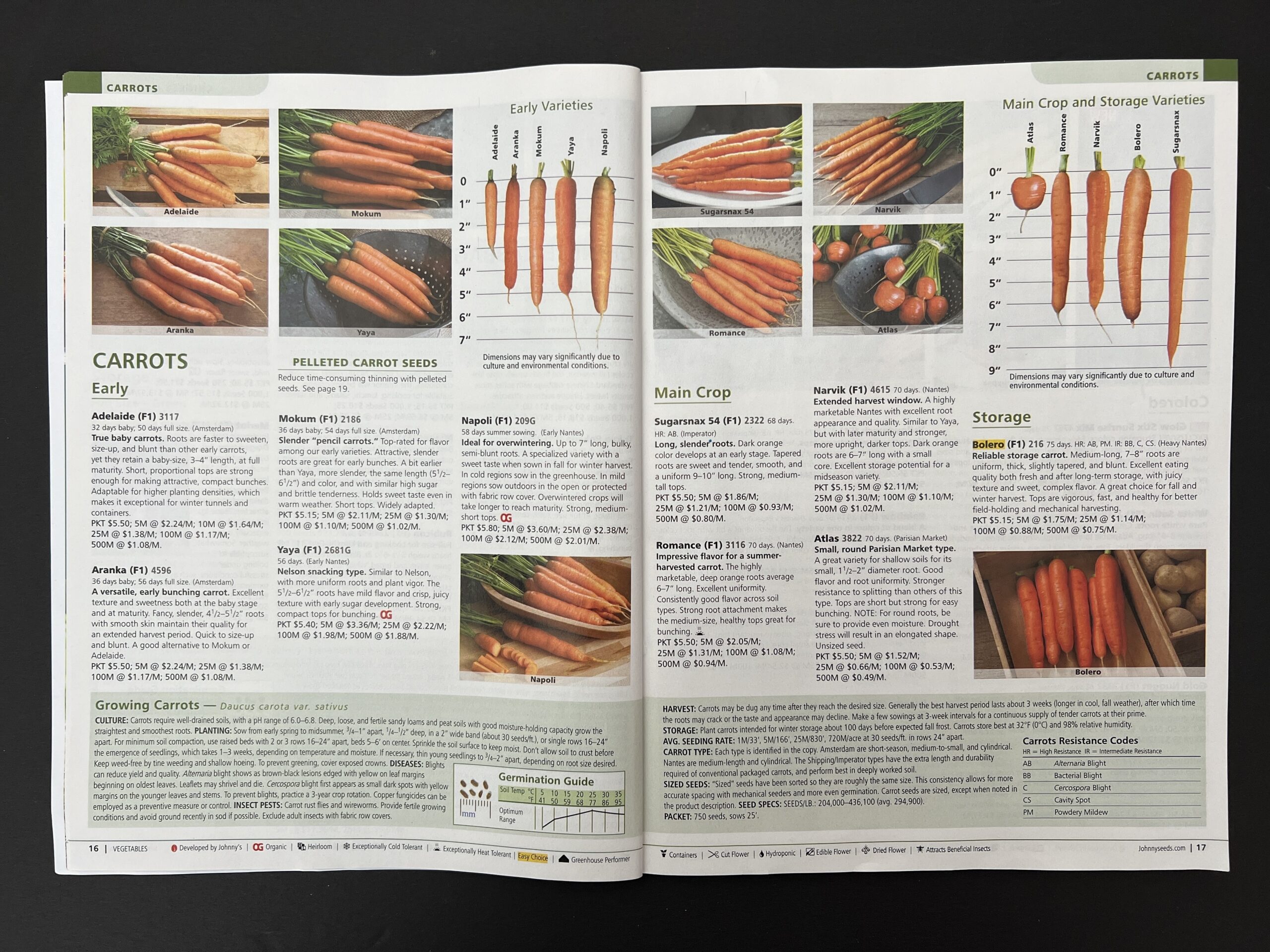 The Johnny’s Selected Seeds 2023 catalog offers dozens of varieties of carrots for a range of uses. ANDREW MESSINGER