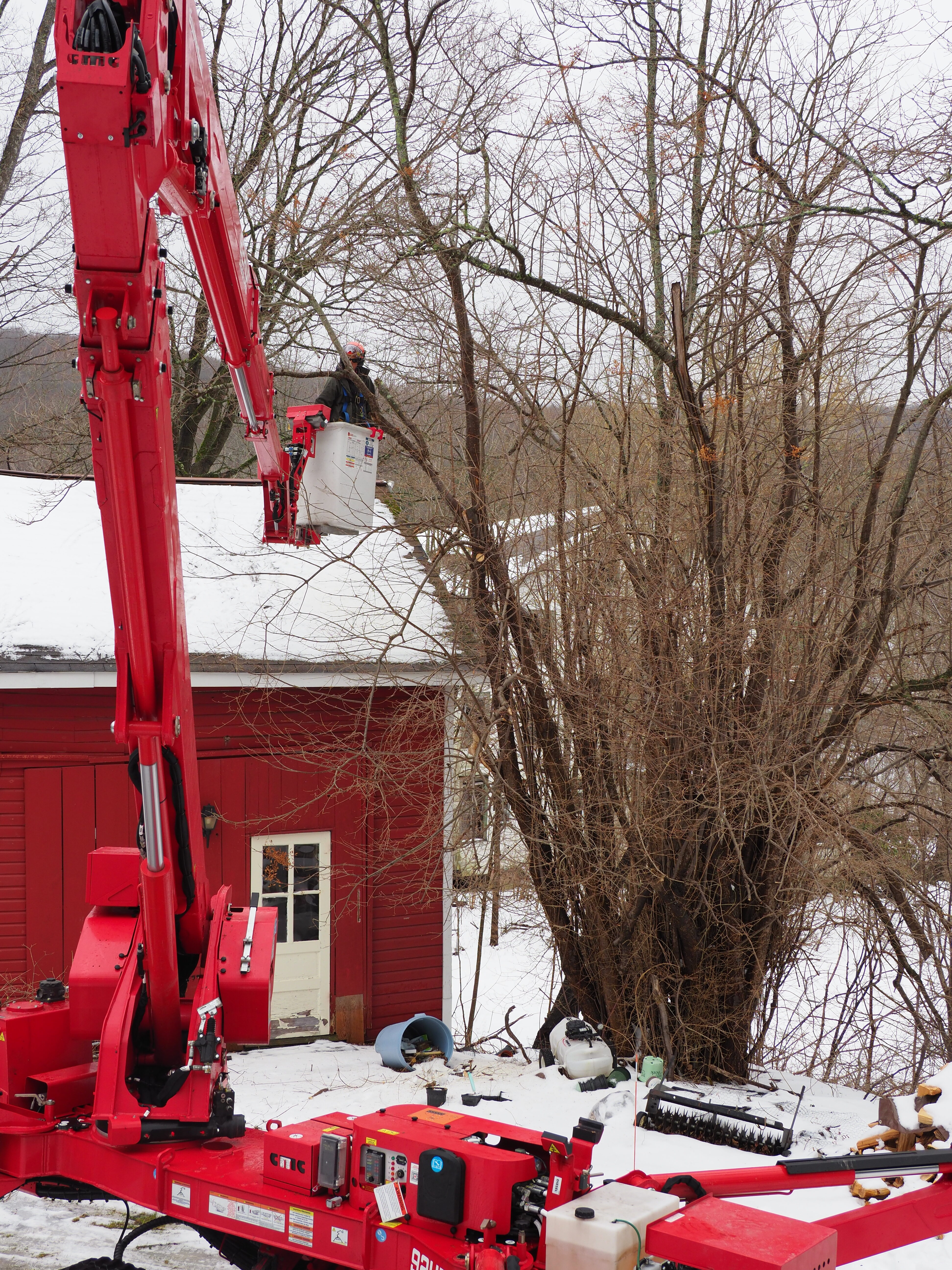 Using an articulated arm, an arborist in the bucket is able to get to limbs and branches without damaging the barn roof. The entire machine moves on rubber tracks making lawn and soil damage minimal. ANDREW MESSINGER