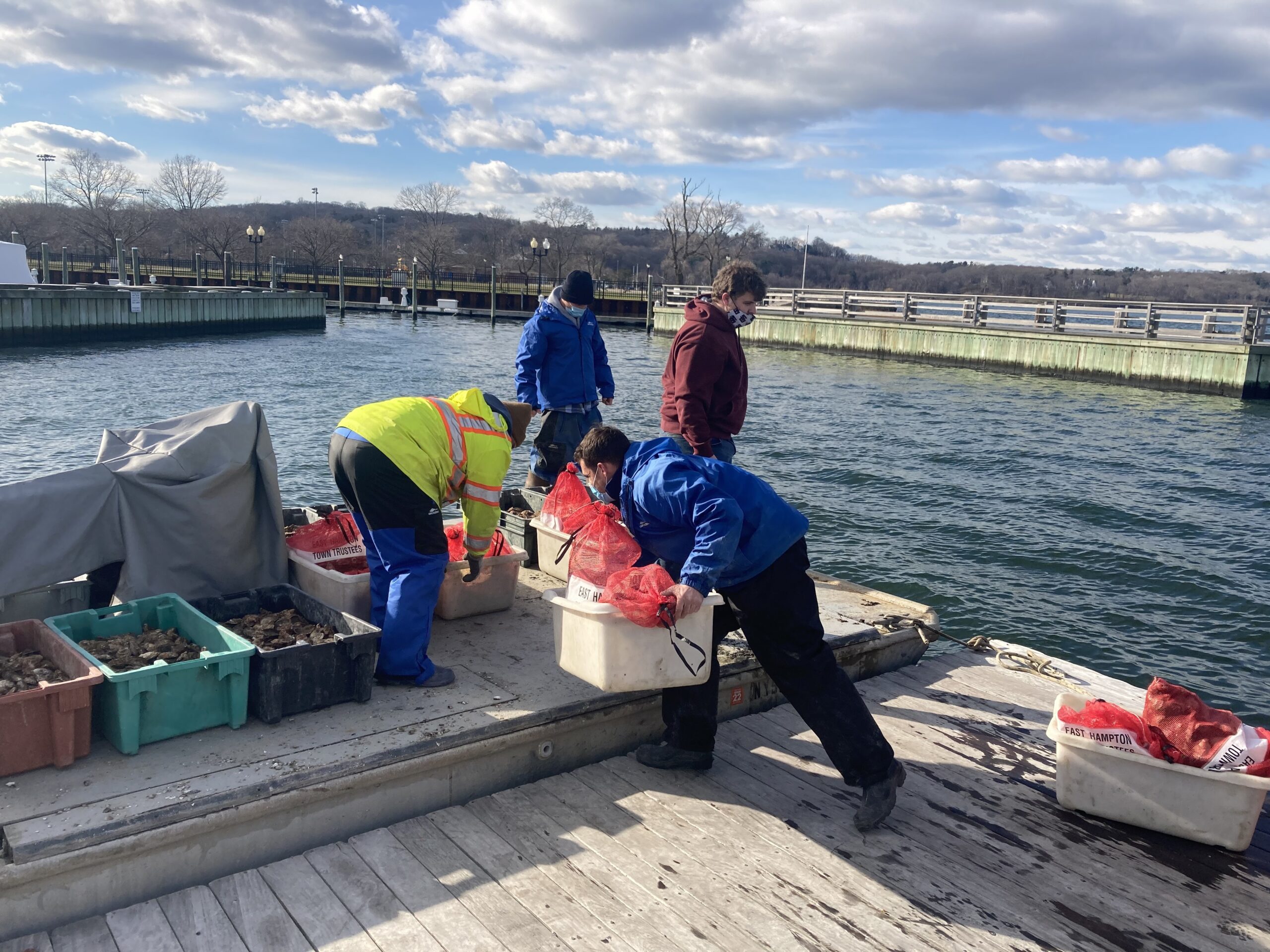Workers move crates of oysters in Oyster Bay. © CARL LOBUE/THE NATURE CONSERVANCY