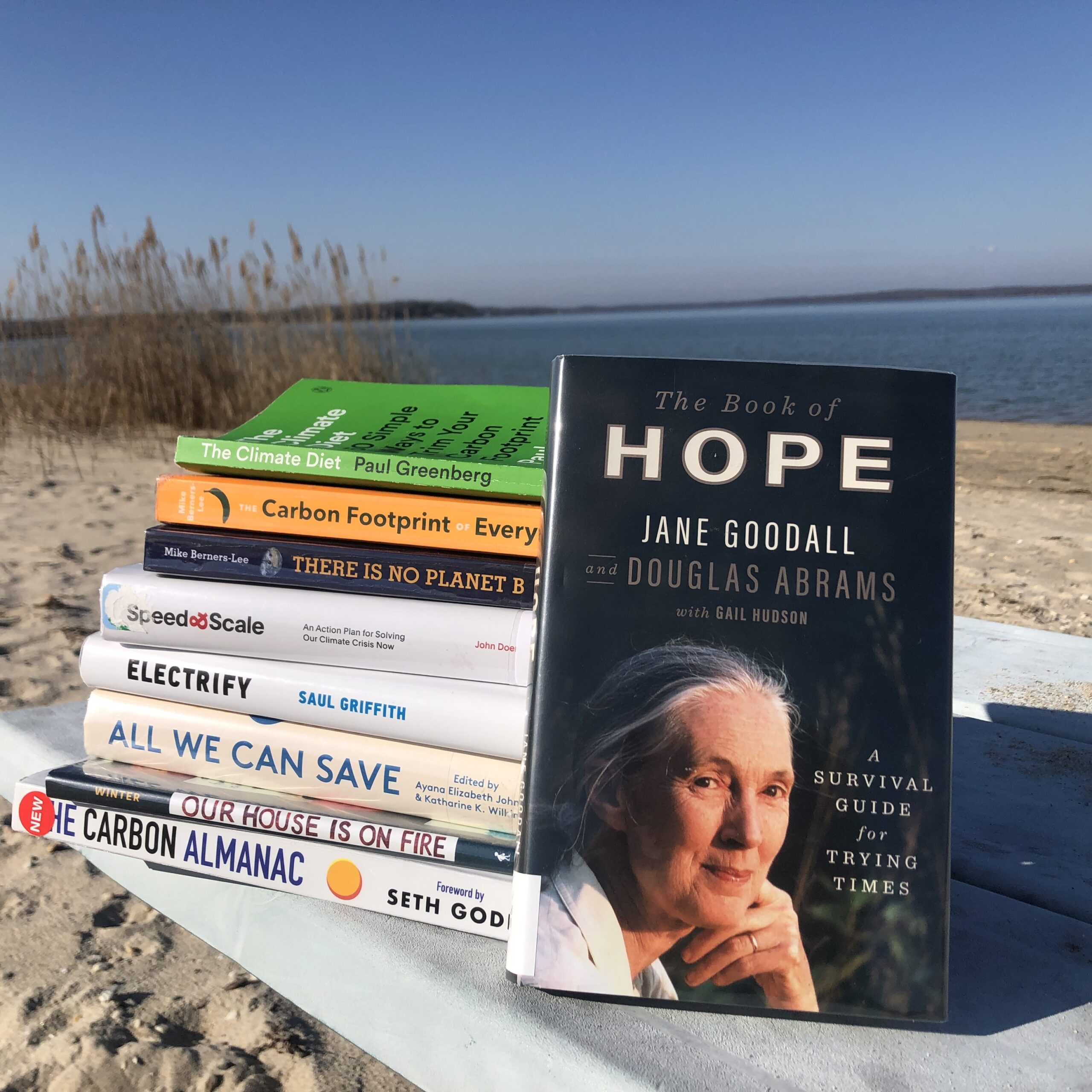 Ordering a book from the local library has a much lower carbon footprint than buying one from a bookstore, and most books that aren't on the shelves arrive in two to three days, almost faster than an Amazon package. JENNY NOBLE