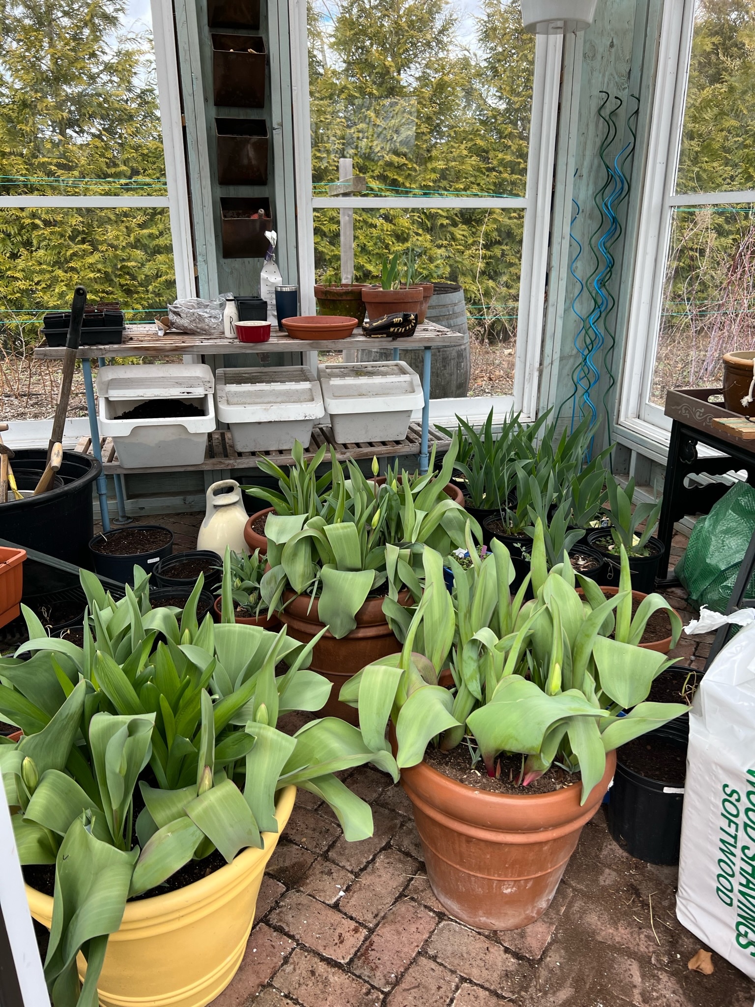 East Quogue Family Embraces Modern Homesteading 27 East