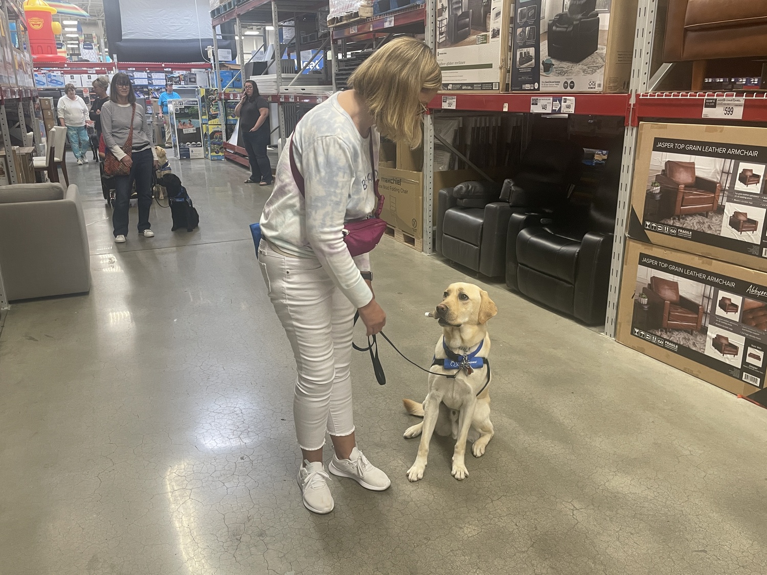 Westhampton Beach Middle School Canine Companions Dog 'Oric